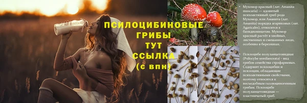 кокаин премиум Алексеевка