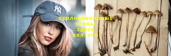 таблы Алзамай