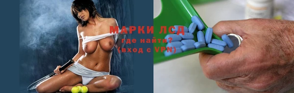 хмурый Алексин