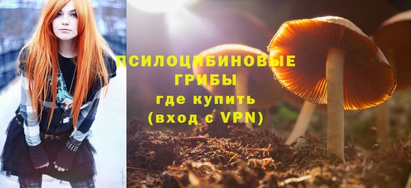 дмт Абинск