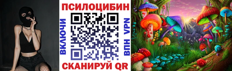 где можно купить   Новоалтайск  Галлюциногенные грибы Magic Shrooms 