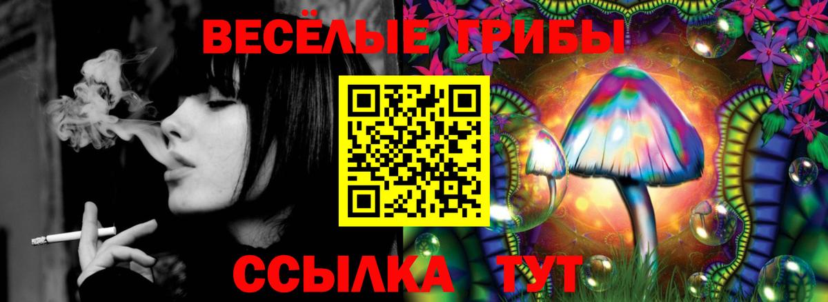 Галлюциногенные грибы Psilocybine cubensis  Псилоцибиновые грибы Psilocybe  Вход с VPN  Новоалтайск 