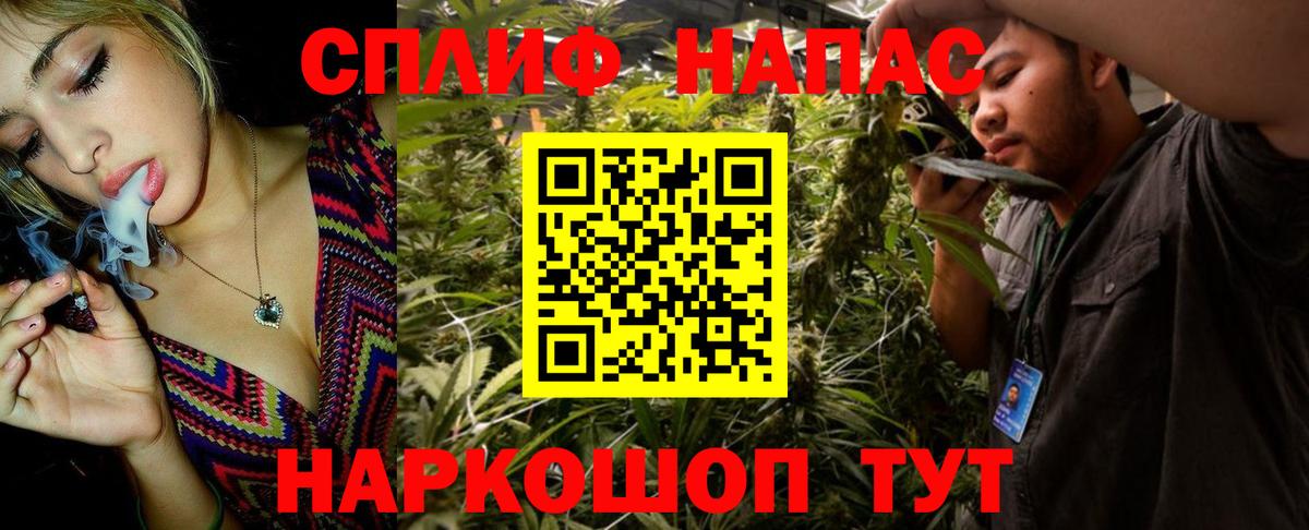 Псилоцибиновые грибы Новоалтайск